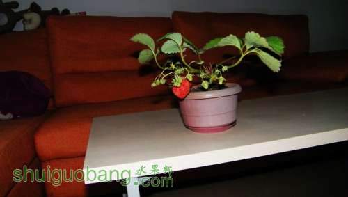 nEO_IMG_100_0982.jpg