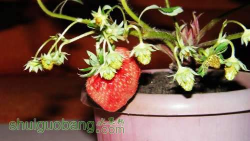 nEO_IMG_100_0983.jpg