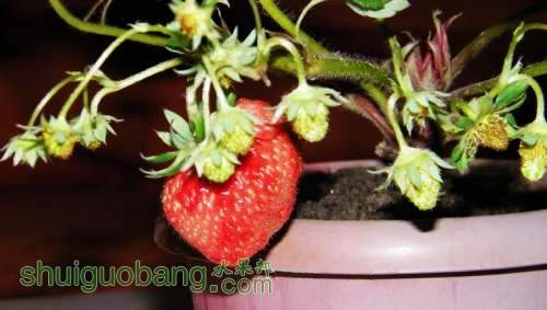 nEO_IMG_100_0981.jpg