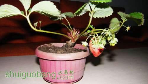nEO_IMG_100_0979.jpg