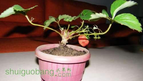 nEO_IMG_100_0978.jpg