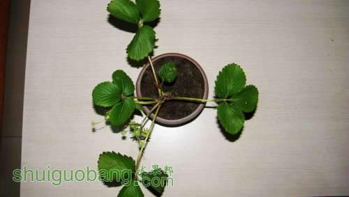 nEO_IMG_100_0987.jpg