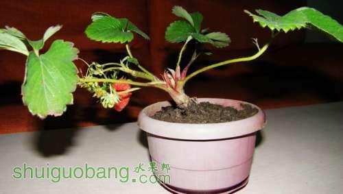 nEO_IMG_100_0977.jpg
