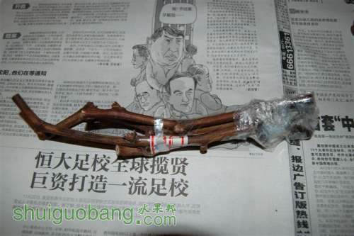 A09Ǹʲô.JPG
