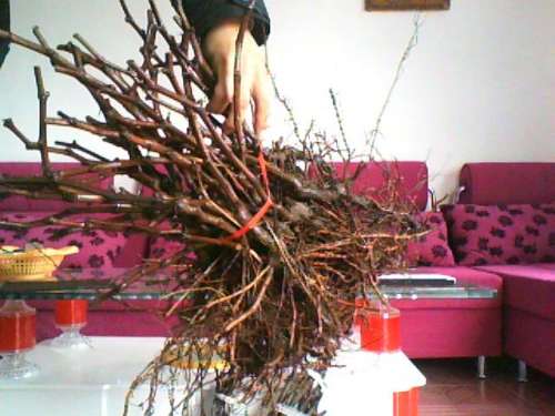 ͼƬ 012.jpg