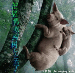 292015416310[1].gif