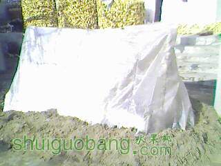 IMG0234A.jpg