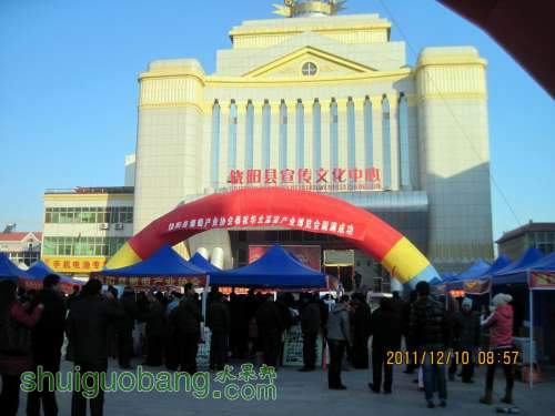 С ѵ 2011.12.10 006.jpg