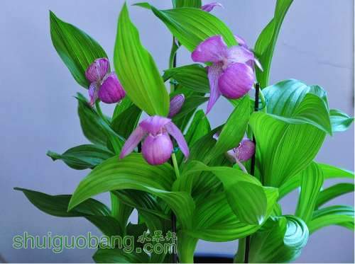 QH`_V16`S~_5G6I30P3~HG0.jpg