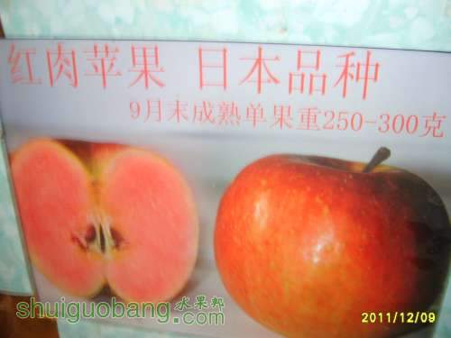 S6001121.JPG