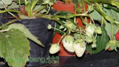 nEO_IMG_100_1426.jpg
