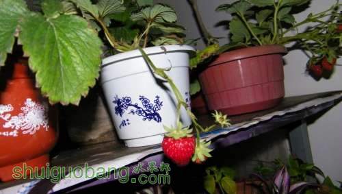 nEO_IMG_100_1419.jpg