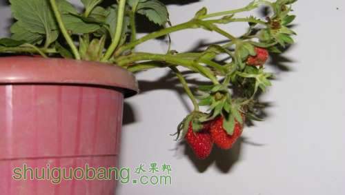 nEO_IMG_100_1421.jpg