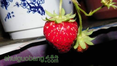 nEO_IMG_100_1420.jpg