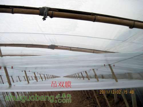С Ĥ2011.12.02 004.jpg