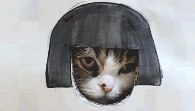 7aec54e736d12f2efd46a5244fc2d56285356836.gif