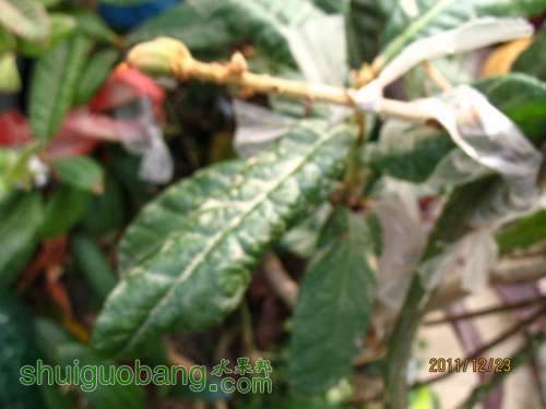 2011-12-23 039.jpg