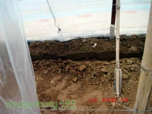 ������С �������Ĥ 2011.12.15 007.jpg