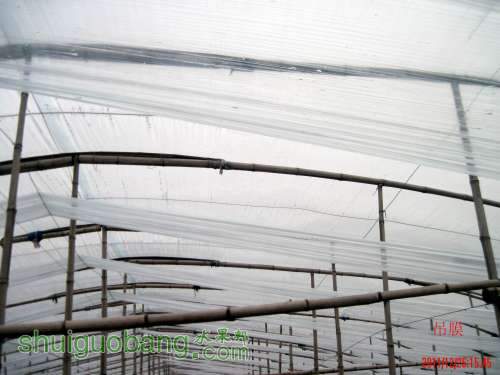 ������С �������Ĥ 2011.12.15 005.jpg