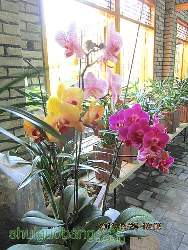 IMG_0949.JPG