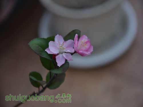 DSC_0044.jpg
