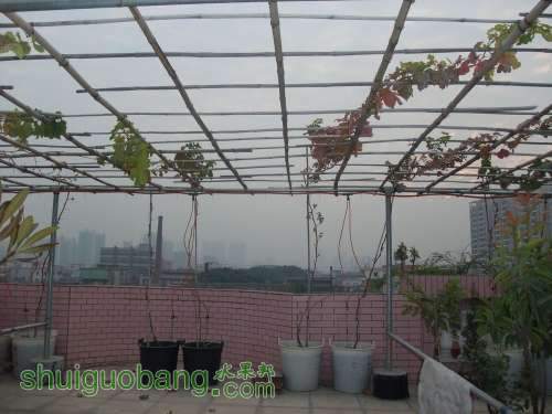 2011-12 022.jpg