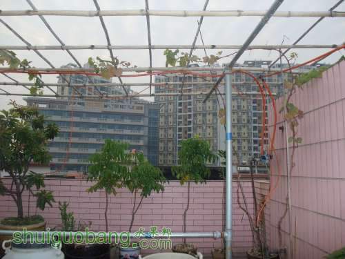 2011-12 023.jpg