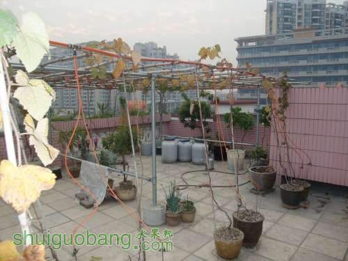 2011-12 024.jpg