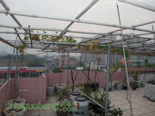2011-12 025.jpg