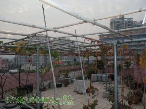2011-12 026.jpg