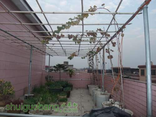 2011-12 027.jpg