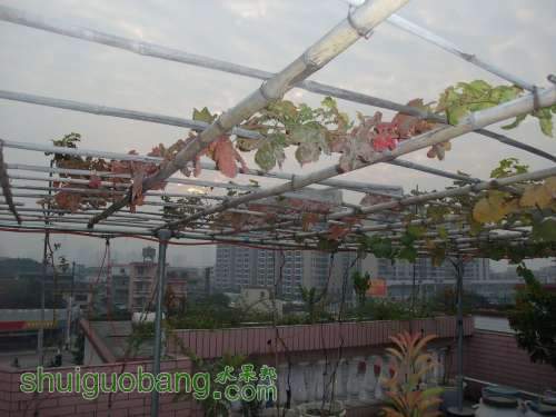2011-12 028.jpg
