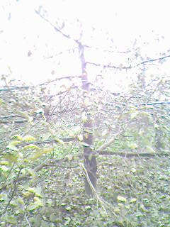 IMG0233A.jpg