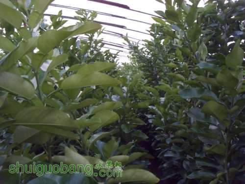 SDC14070.jpg