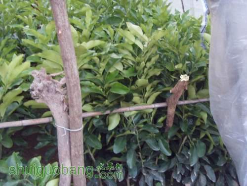 SDC14081.jpg