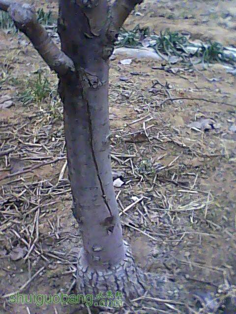 IMG1231161601.jpg