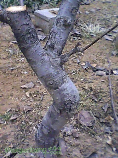 IMG1231161700.jpg