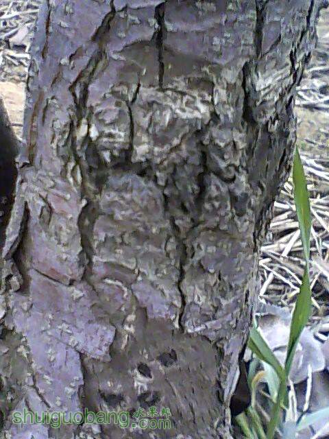 IMG1231161701.jpg