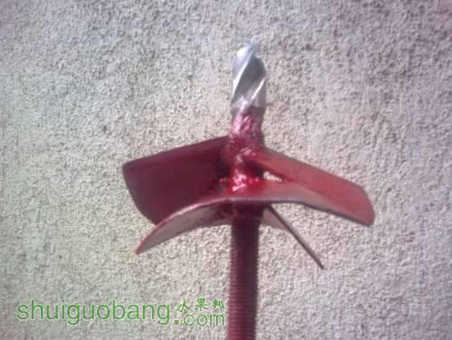 ȱĴָϵʯ