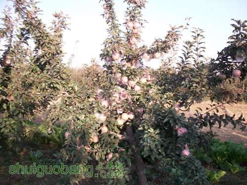 ALIM3808.jpg