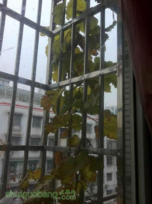 Ƭ 025.jpg