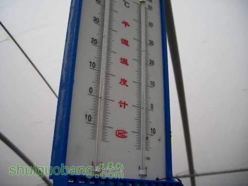 SANY2368.JPG