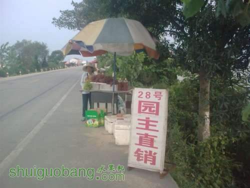 psbCAHIWDSW.jpg