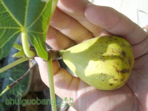 �����ع� DSC05005.JPG