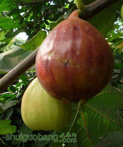 20110829144138859.jpg