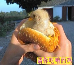 еü.jpg
