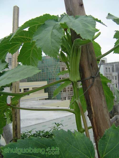 dsc01922_.jpg