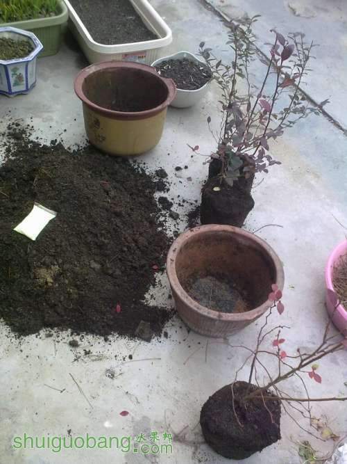 20120111925.JPG