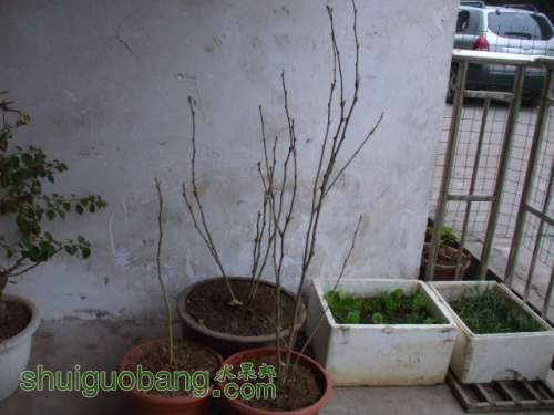133647m9xarxhaay9866ac.jpg