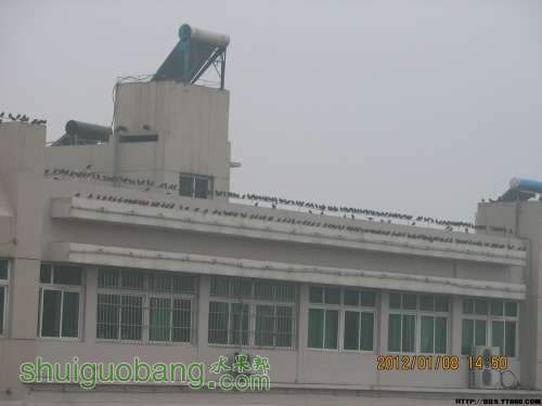 1505155z269jn9a8ey9ls5.jpg